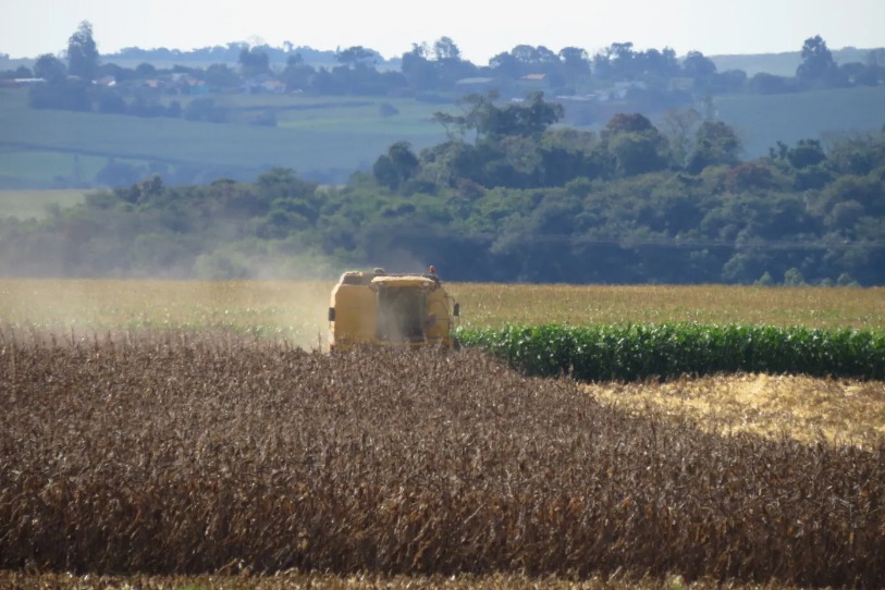 Paraná registra aumento na produção de grãos e colheita deve superar 35,6 milhões de toneladas nesta safra